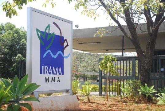 Embargos ambientais em Rondônia