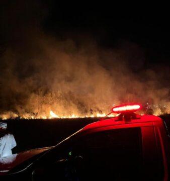 Equipe de bombeiros controla fogo em área verde