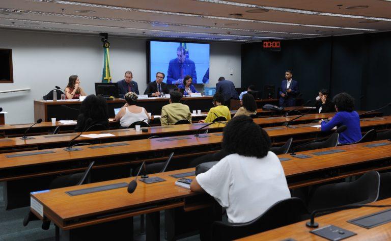 Deputado e representantes debatem racismo ambiental e justiça climática