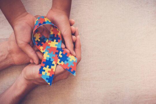 Comissão da Câmara - Autismo