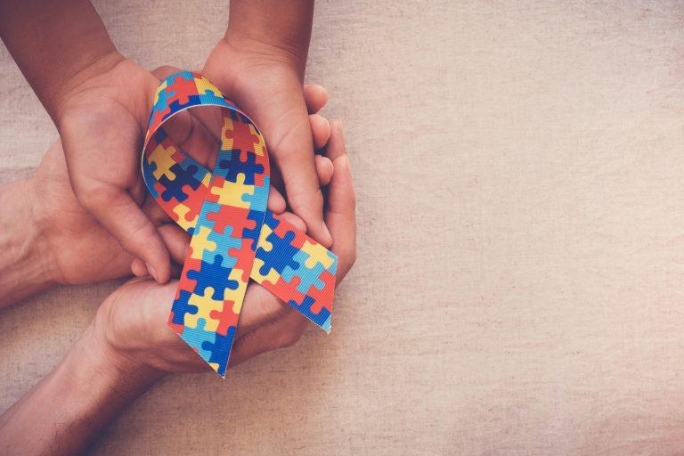 Comissão da Câmara - Autismo