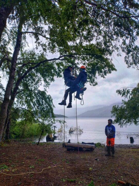 Atletas competindo em escalada em árvores