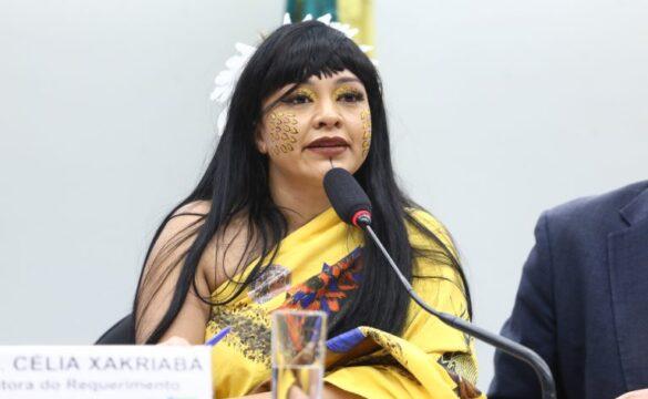 Banner da conferência 'Vozes da Câmara' na Câmara dos Deputados