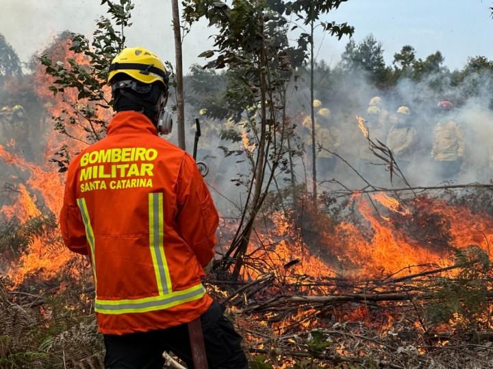 Bombeiros em treinamento