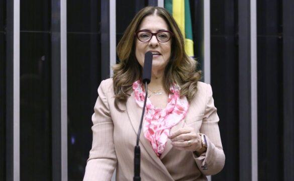 Imagem ilustrativa sobre educação básica obrigatória e gratuita