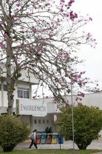 Equipe médica da reabertura da emergência pediátrica no HU-UFSC em Florianópolis