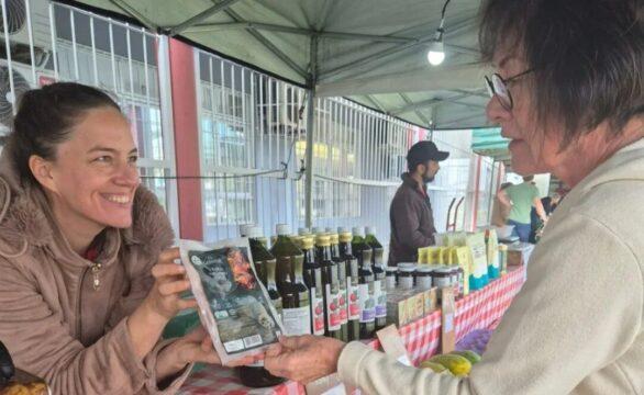 Produtos orgânicos frescos na feira de São José