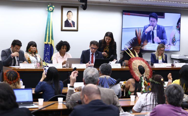 Violência e resistência: marco temporal e demarcação territorial indígena