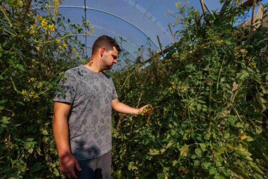 Produtor rural trabalhando na plantação