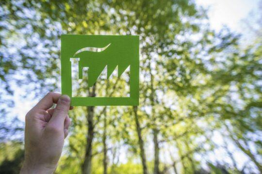 Licença Ambiental Especial - Medida Provisória 1308/25