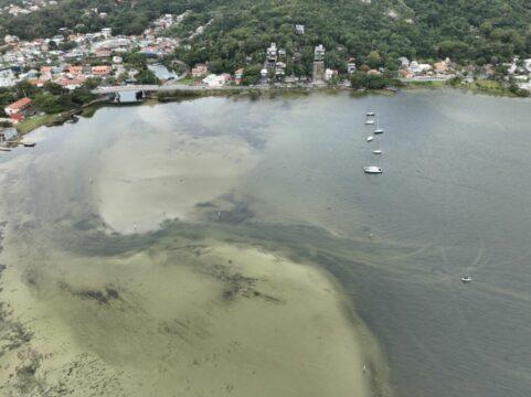 Imagem da manutenção emergencial no Canal da Barra da Lagoa em Florianópolis