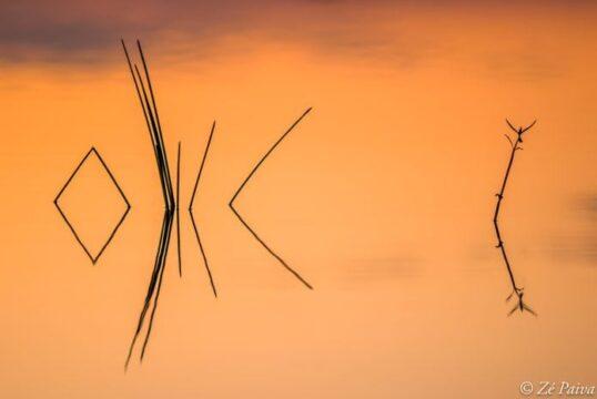 Oficina de Fotografia Contemplativa com Prática de Meditação com Zé Paiva