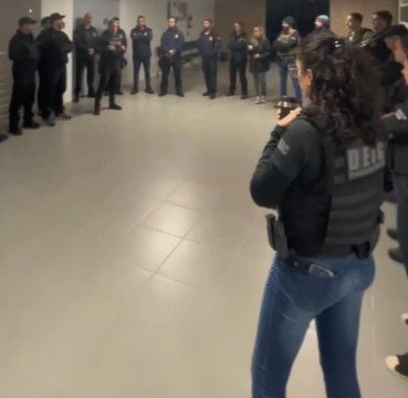 Operação Backstage em Governador Celso Ramos