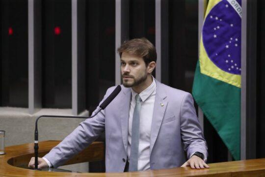 Projeto de lei sobre penalidades por incêndio florestal com morte de animais