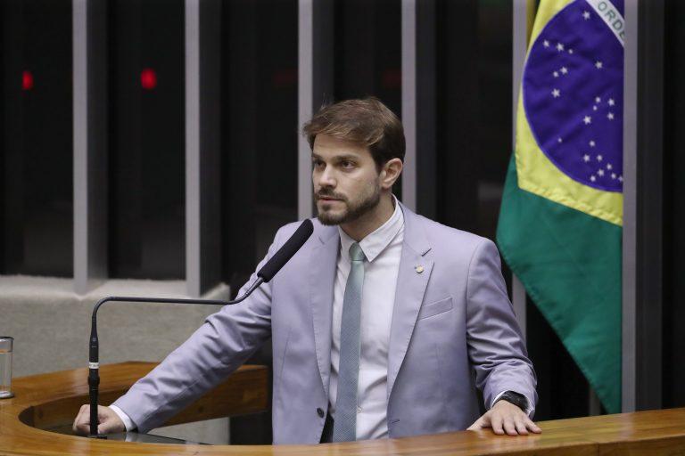 Projeto de lei sobre penalidades por incêndio florestal com morte de animais