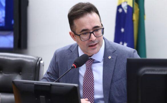 Presos trabalhando em abrigo de proteção animal