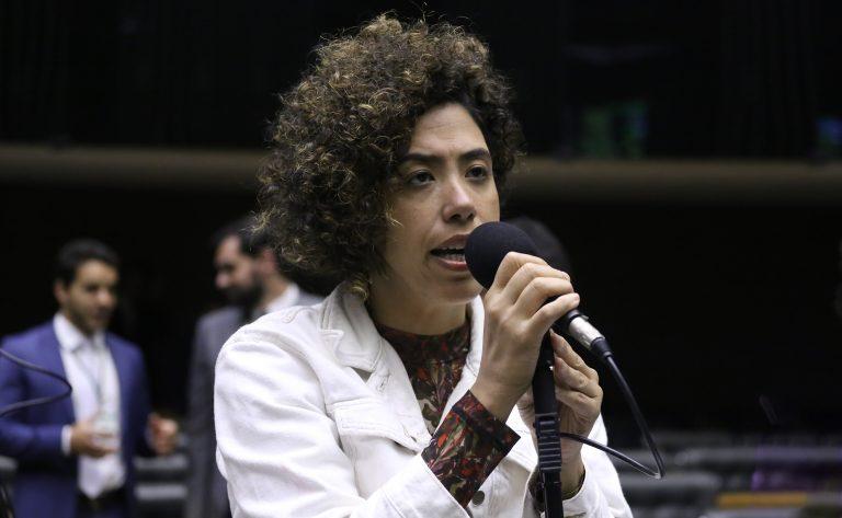 Projeto de Lei 1008/25 - Combate ao Greenwashing