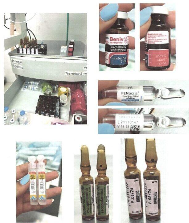 Hospital veterinário em Blumenau