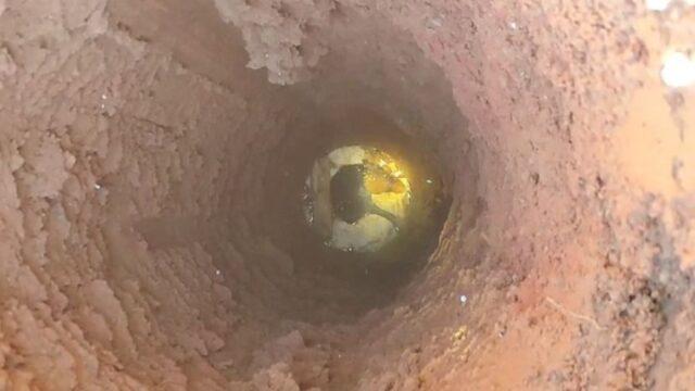 Bombeiros resgatam cadela de buraco em Chapecó