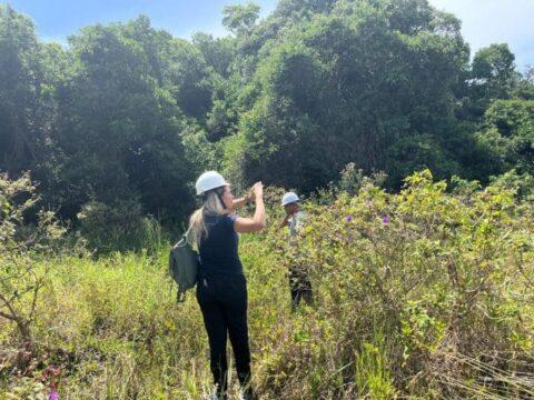 Restauração Ecológica CASAN na Lagoa da Conceição