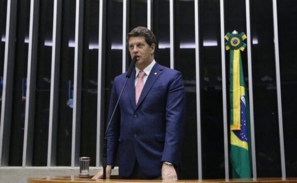 Imagem ilustrativa de uma floresta pública