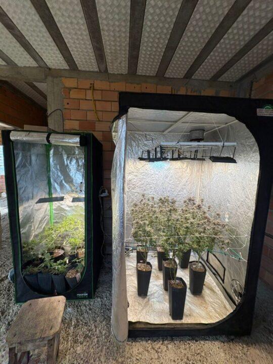 Tráfico de Drogas - Homem preso em Blumenau