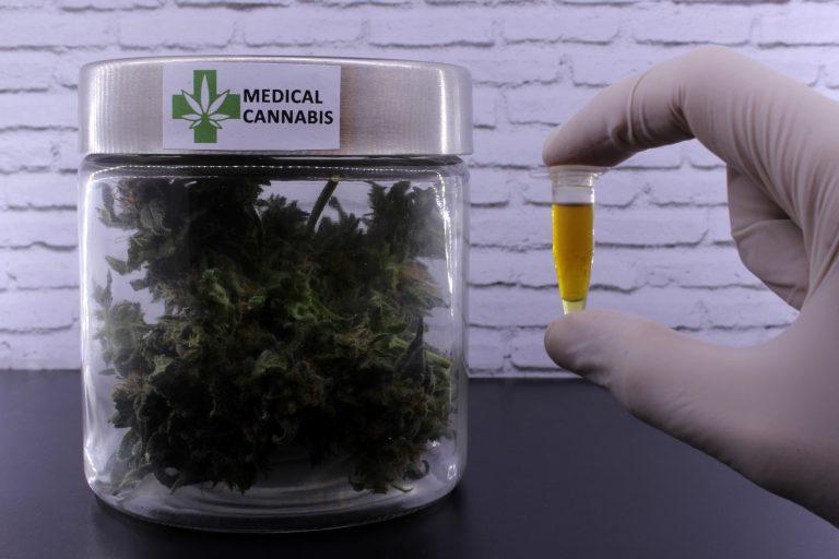 associações civis de cannabis medicinal