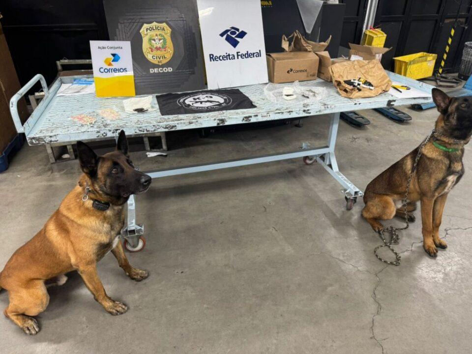 Drogas apreendidas durante operação policial