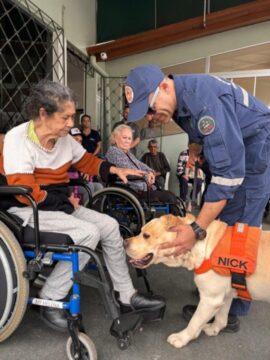Cão de busca Nick interage com os idosos