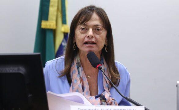 Normas do CNE para cursos de educação física