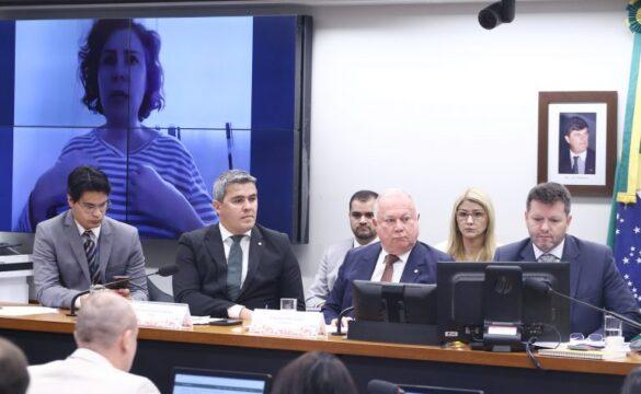 Imagem representando Carla Zambelli e Walter Delgatti em reunião virtual