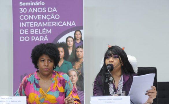 Mulheres unidas contra a violência de gênero