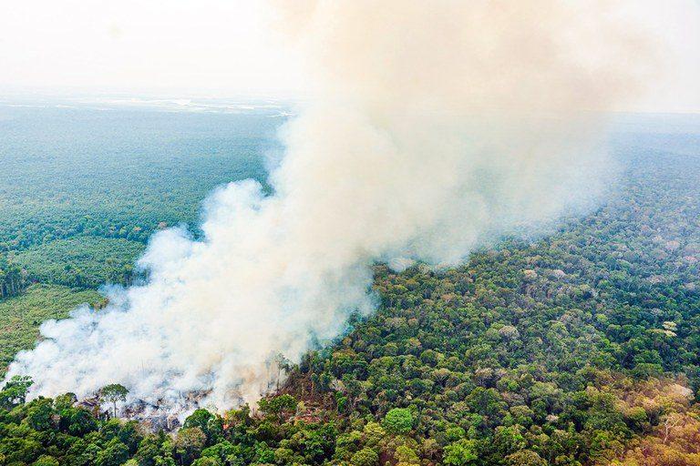 Combate às queimadas e fumaça tóxica na região amazônica
