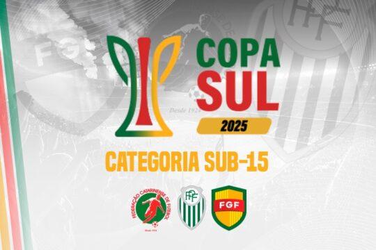 Times catarinenses na Copa Sul Sub-15
