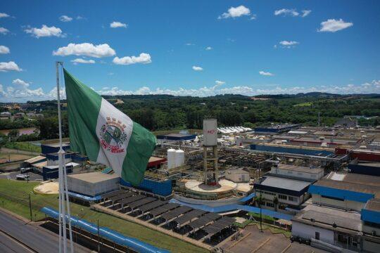 Gráfico representando o crescimento de empregos em Chapecó