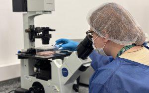 Óleo de orégano nanoencapsulado inativando o norovírus