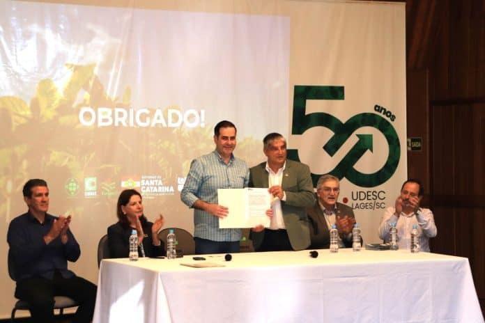 Imagem representativa das florestas comerciais plantadas em Santa Catarina