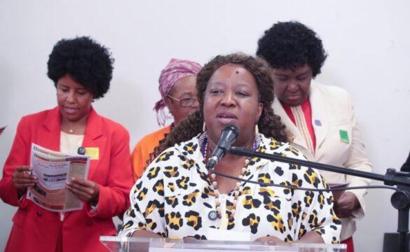 Ministra Macaé Evaristo na Câmara dos Deputados