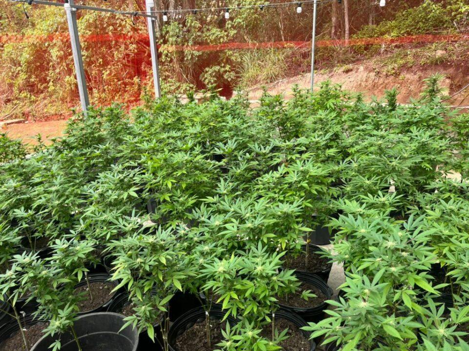 Laboratório de drogas apreendido em Florianópolis