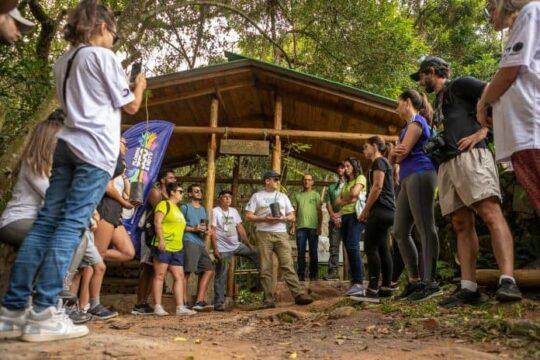 Mudas nativas sendo plantadas durante a Semana da Árvore