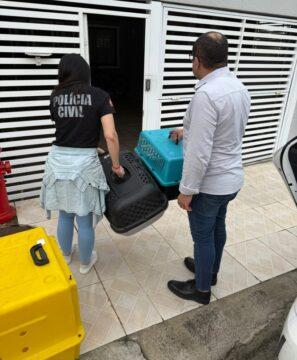 Polícia Civil prende suspeito por maus-tratos aos animais em Blumenau