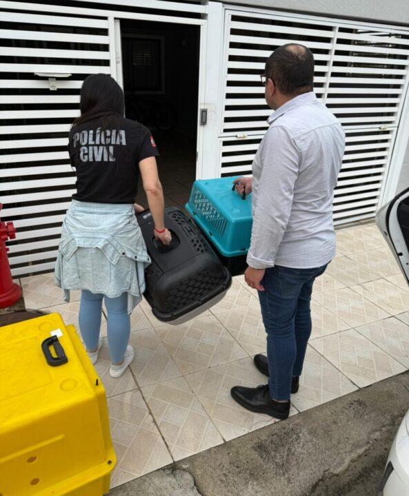 Polícia Civil prende suspeito por maus-tratos aos animais em Blumenau
