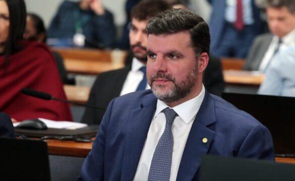 Frutas frescas em destaque