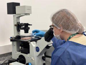 Óleo de orégano nanoencapsulado inativando o norovírus