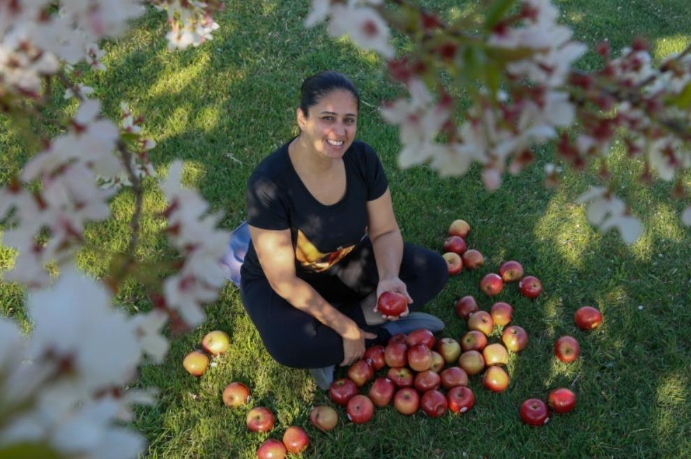 Produtores de maçã da Serra Catarinense