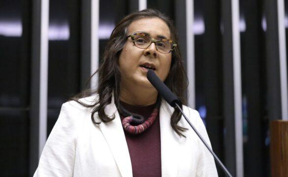 Transporte de animais vivos em debate no Congresso Nacional