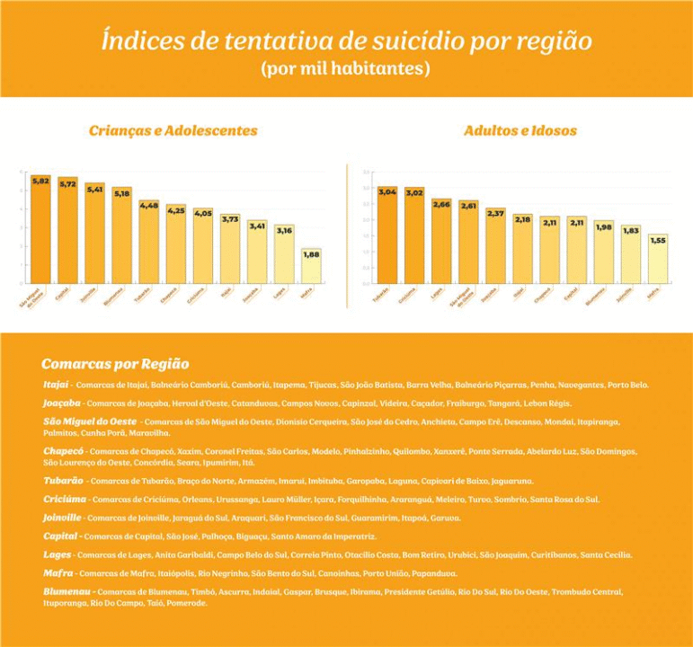 Rede de Atenção Psicossocial em Santa Catarina
