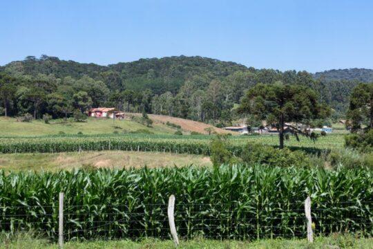 Propriedade rural na faixa de fronteira