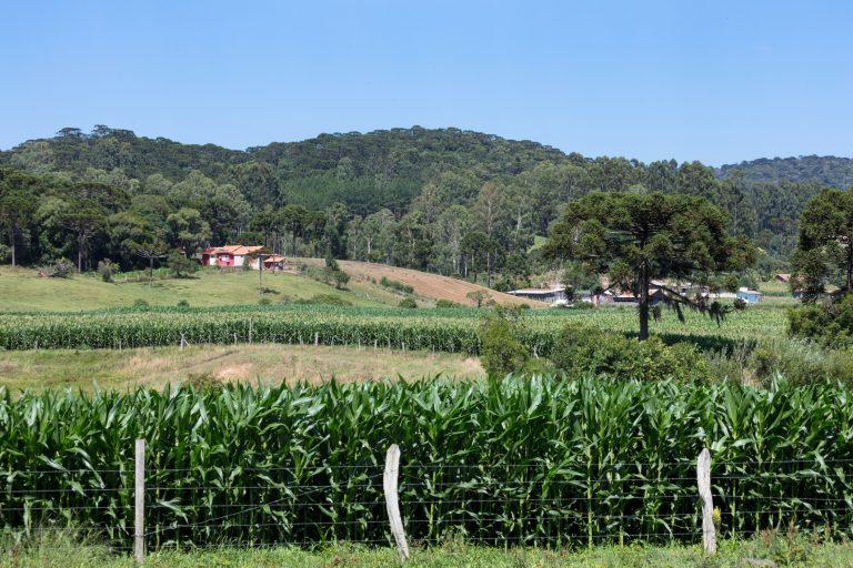 Propriedade rural na faixa de fronteira