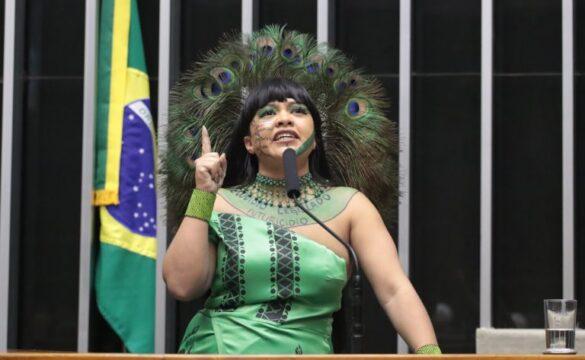 Artefatos indígenas sendo repatriados